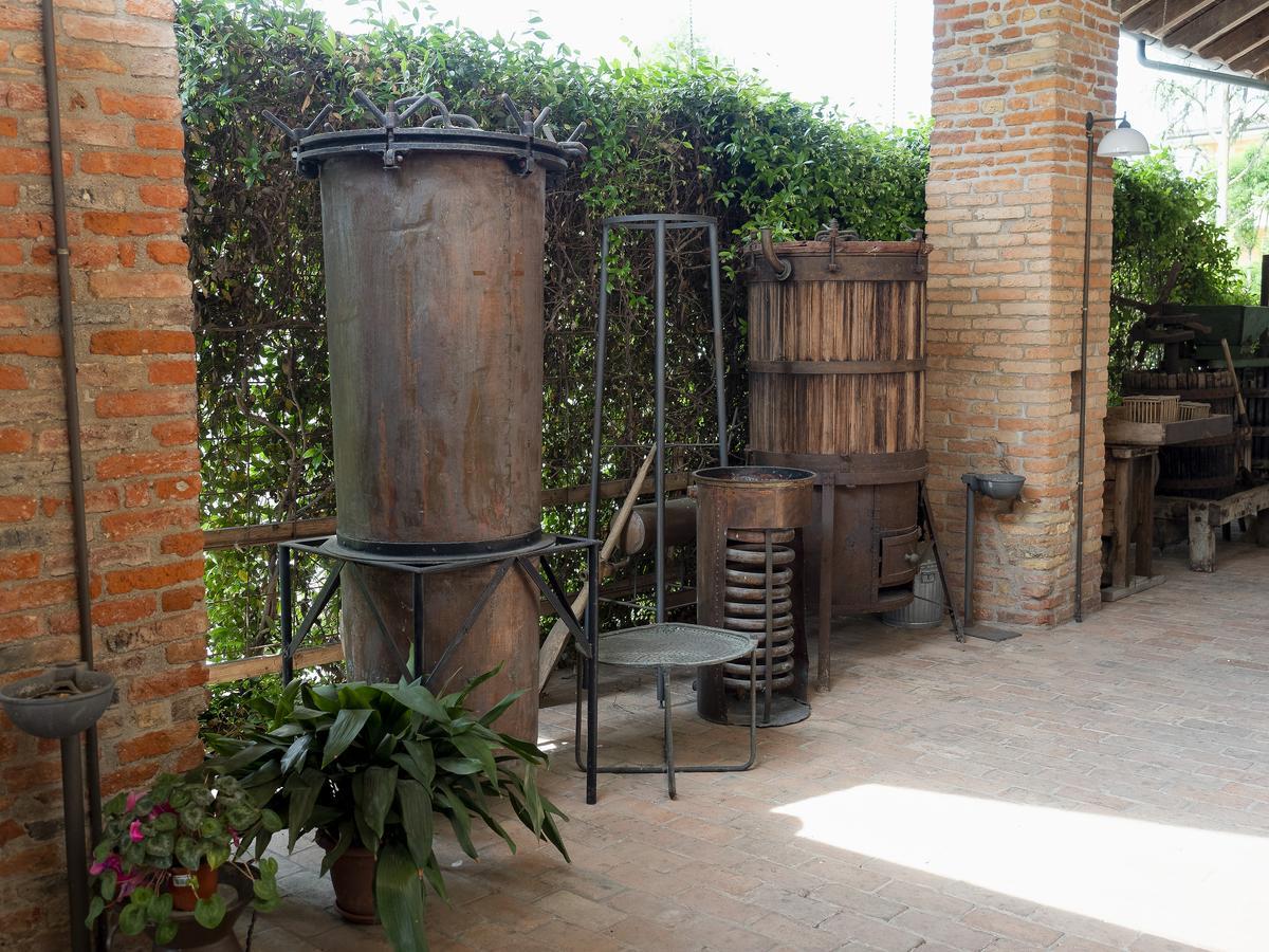 Agriturismo Il Palazzone Montegalda Esterno foto